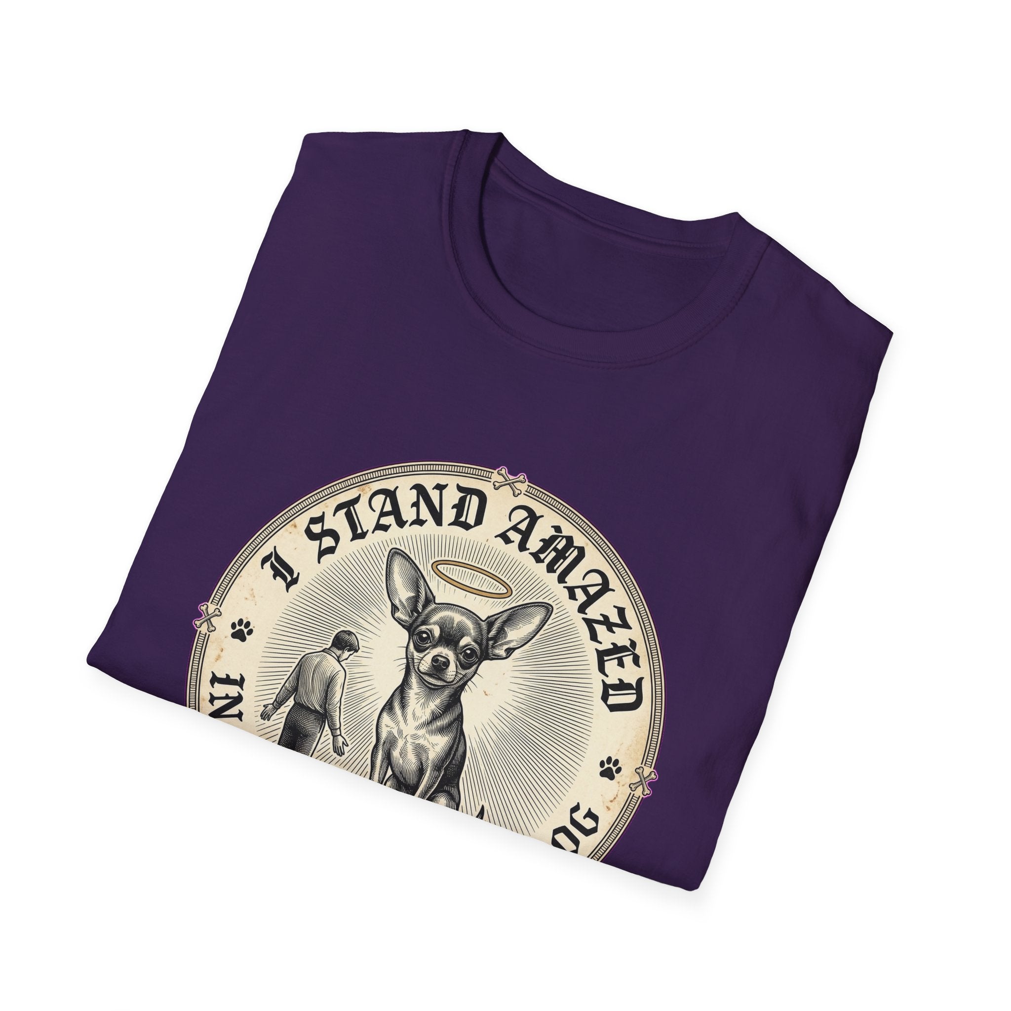 I Stand Amazed in the Presence | Chihuahua