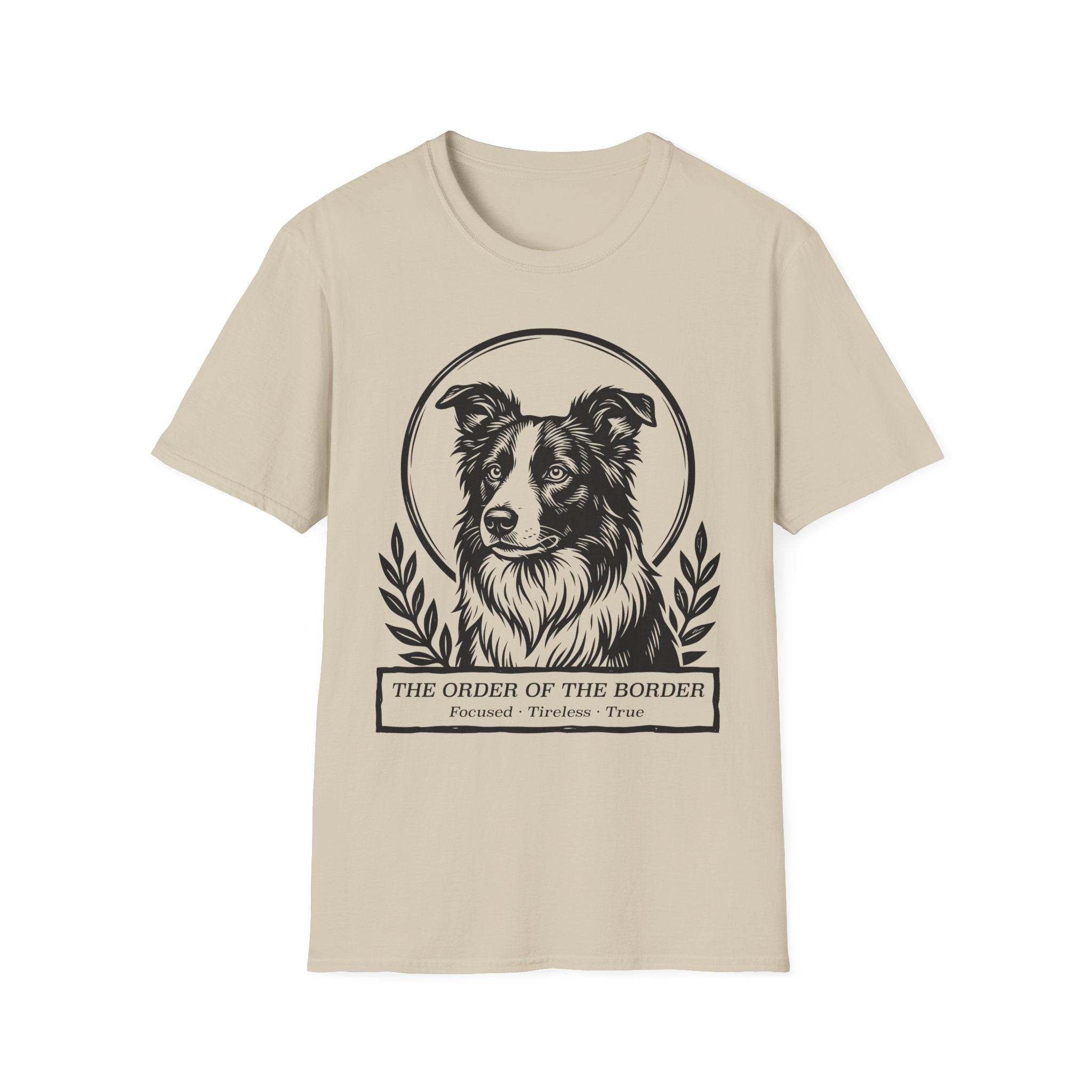Holy Orders | Border Collie