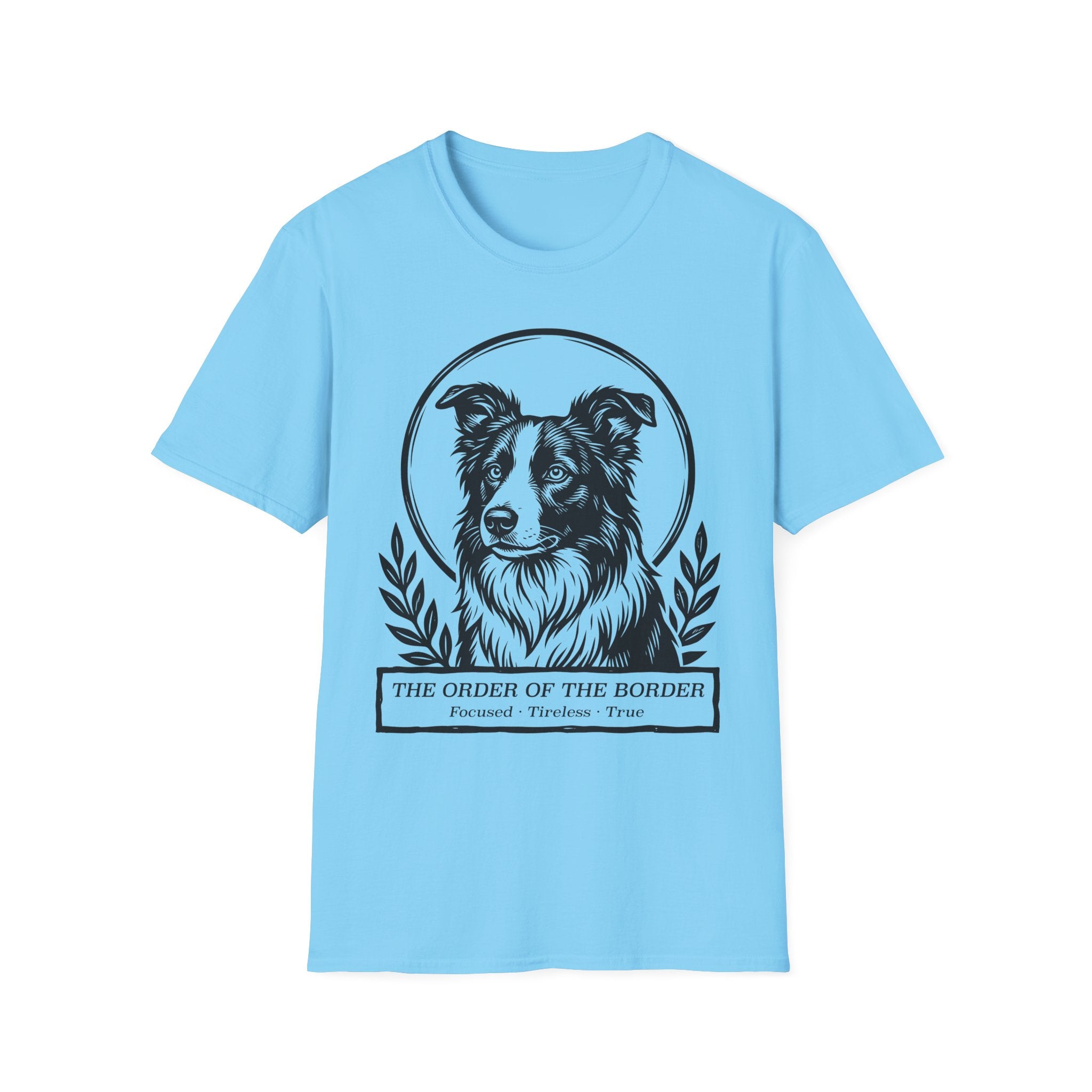 Holy Orders | Border Collie