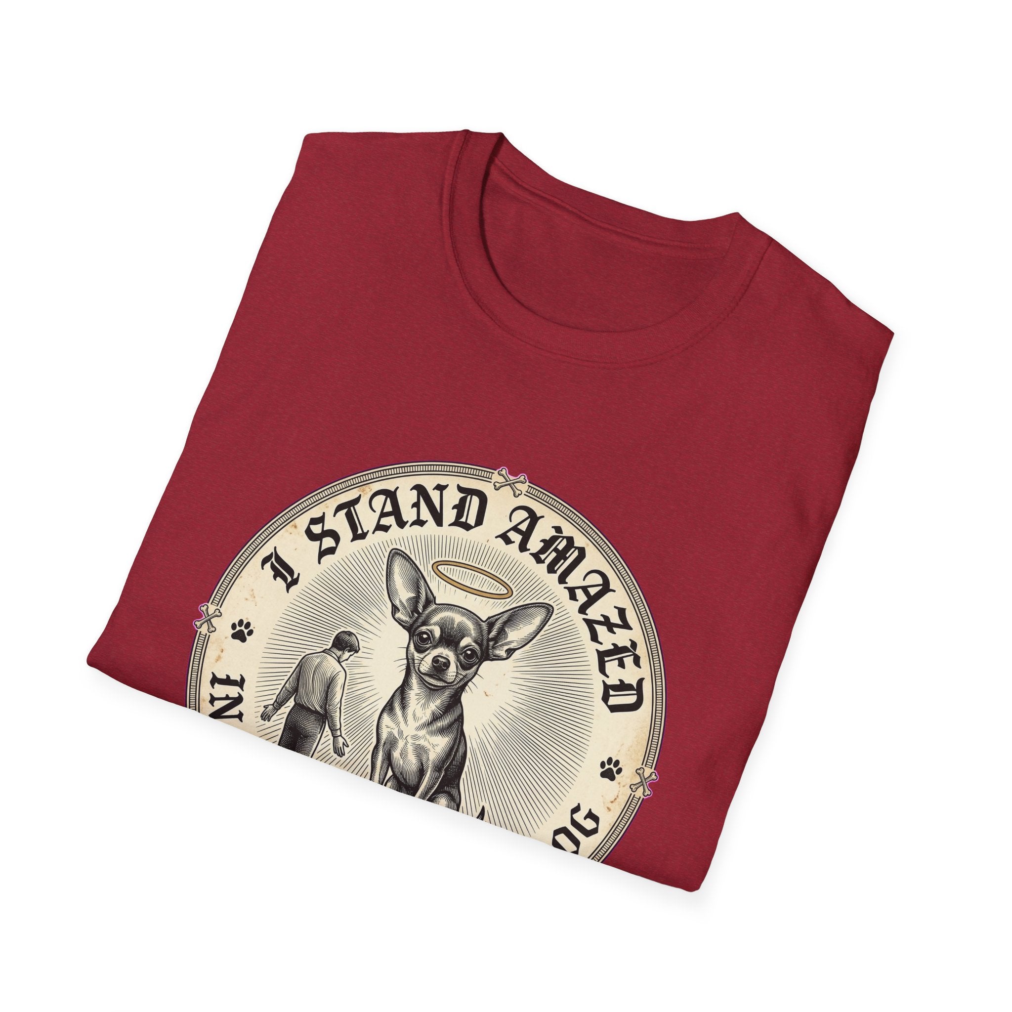 I Stand Amazed in the Presence | Chihuahua