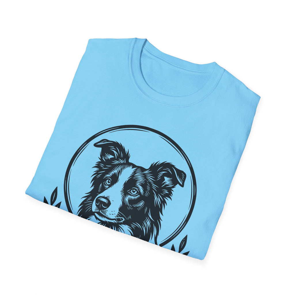 Holy Orders | Border Collie