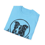 Holy Orders | Border Collie