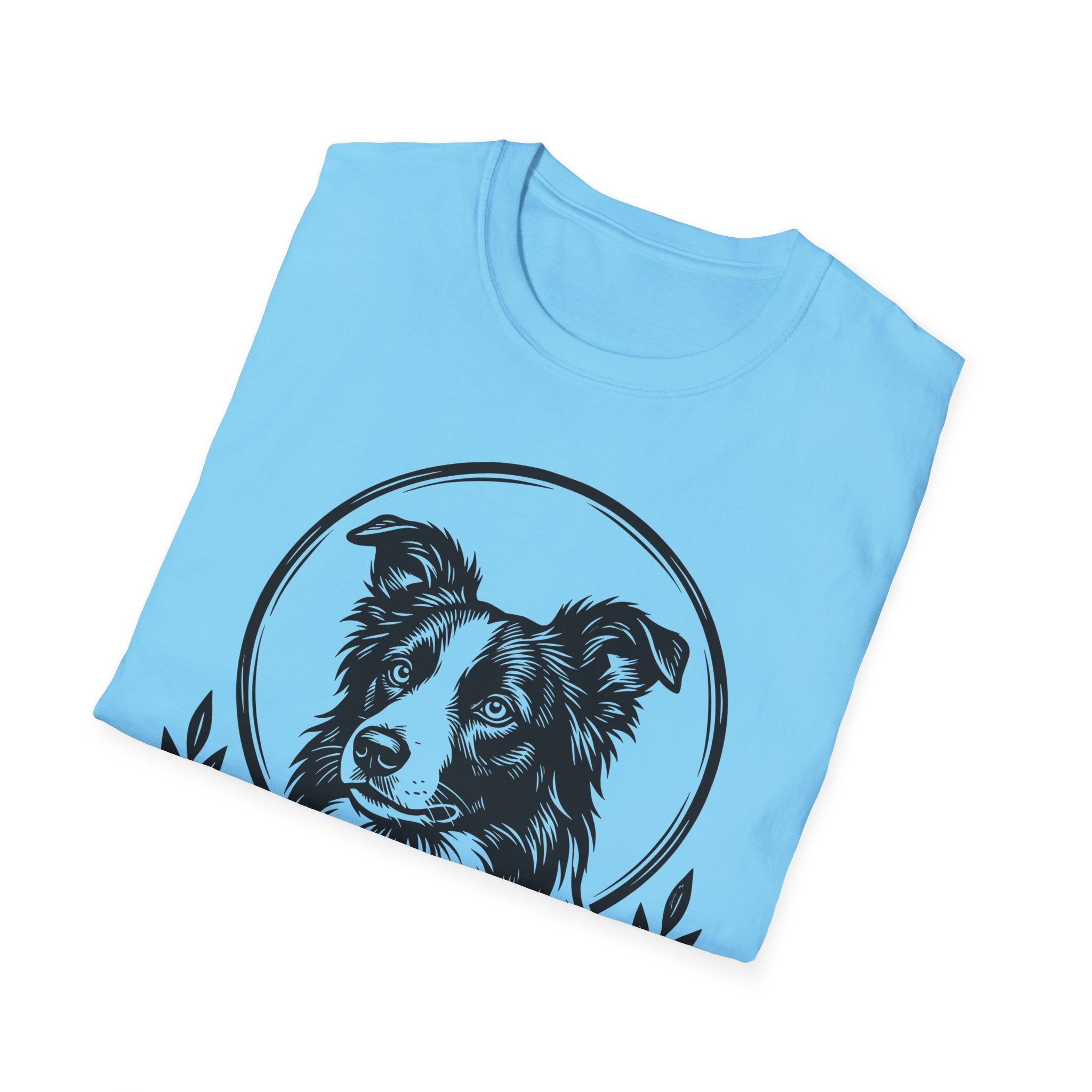 Holy Orders | Border Collie