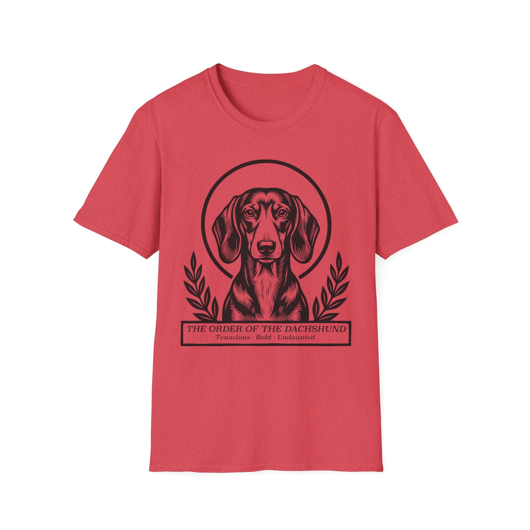 Holy Orders | Dachshund