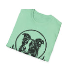 Holy Orders | Border Collie