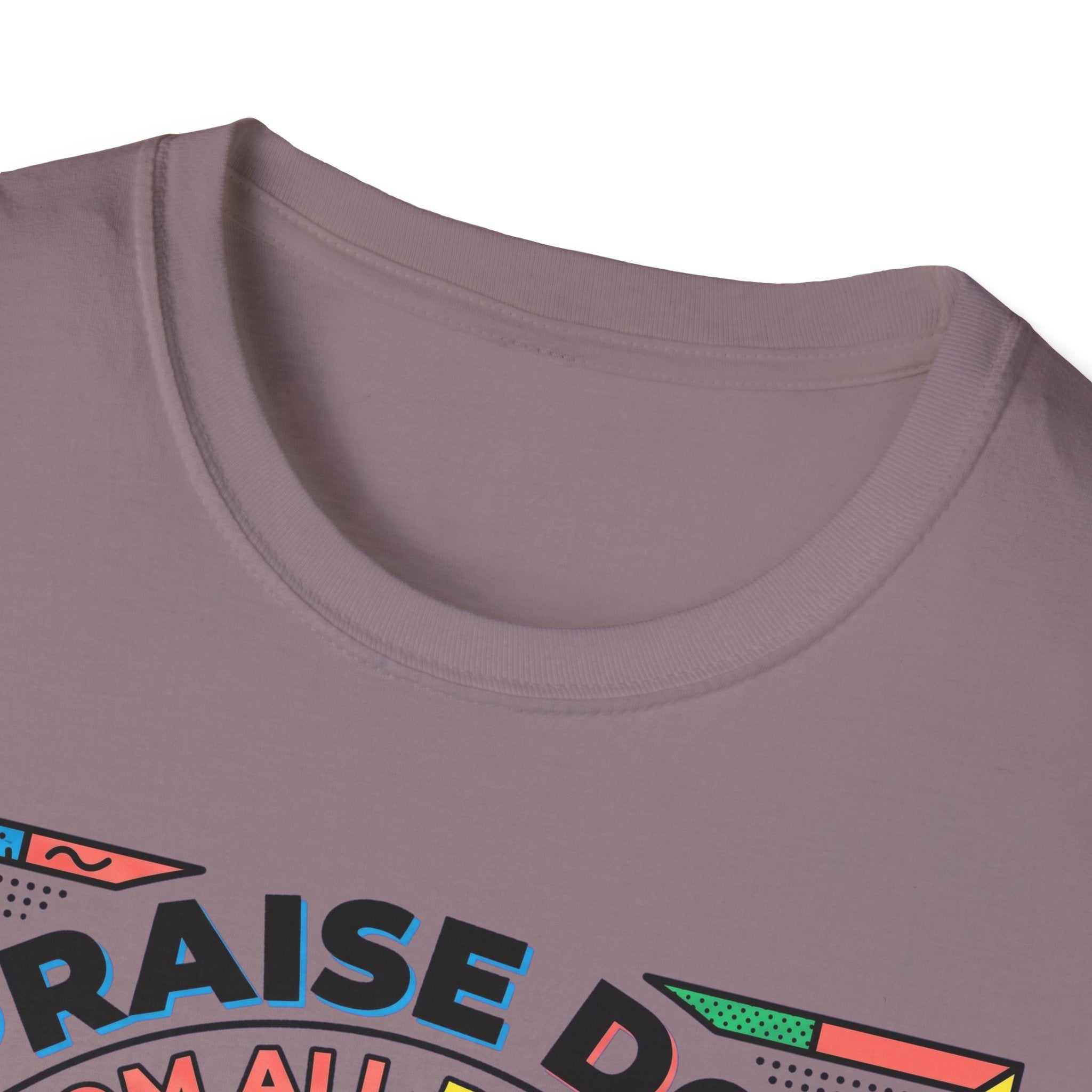Praise Dog From Whom All Blessings Flow Geometric T-Shirt close-up detail of the collar area on a dusty mauve shirt, showing the colorful pop-art border of the Praise Dog graphic.