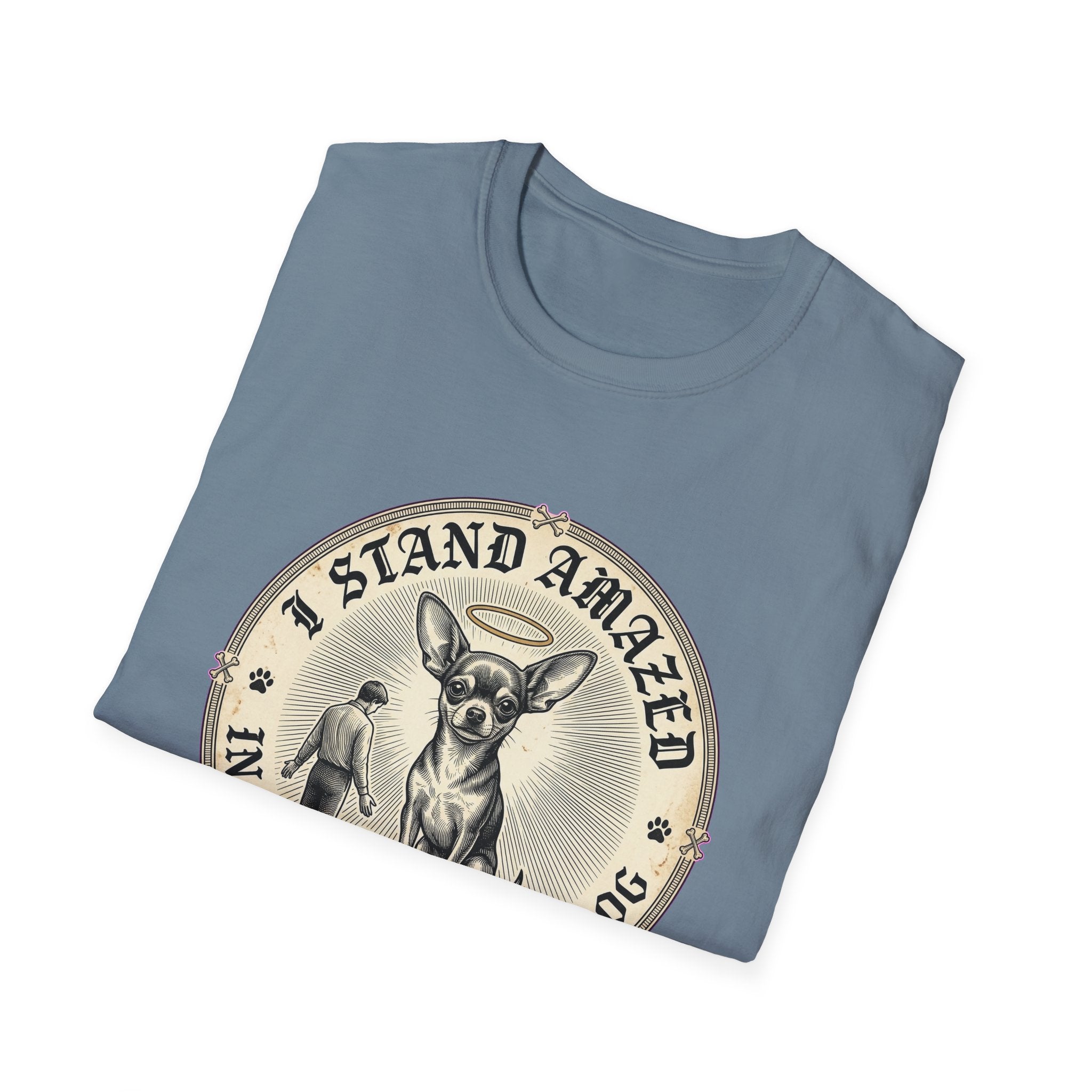 I Stand Amazed in the Presence | Chihuahua