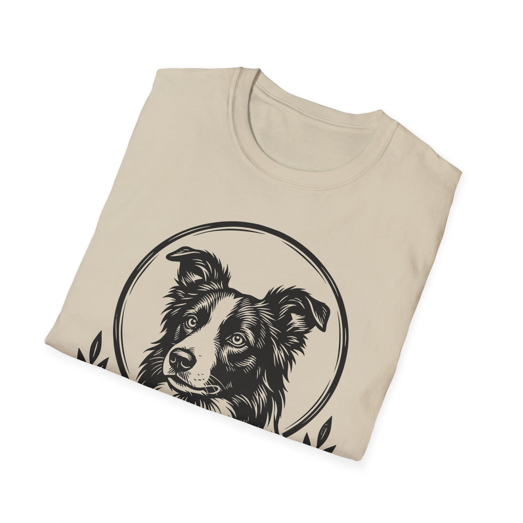 Holy Orders | Border Collie