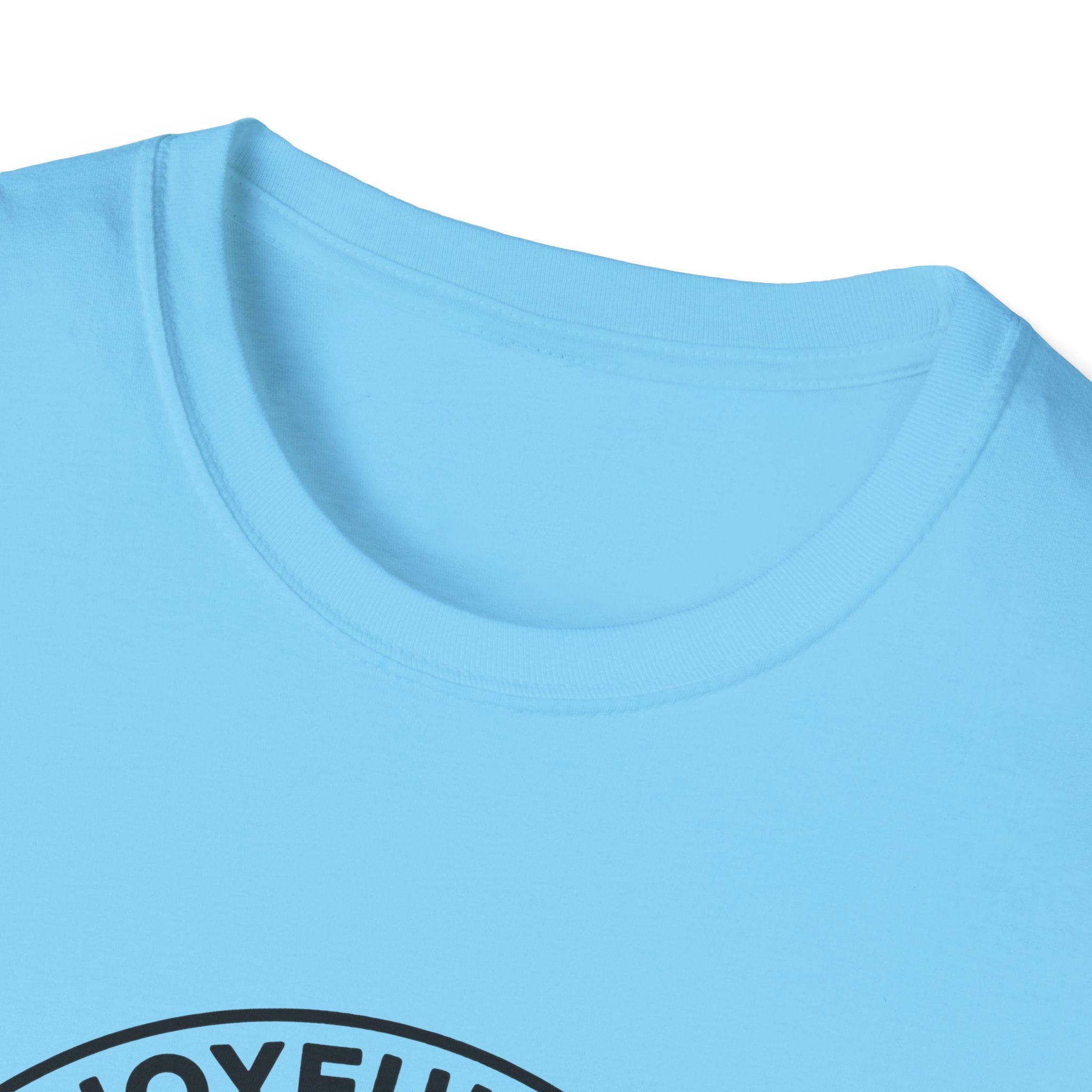 The Joyful Sound of Barking T-shirt close-up detail shot on a light blue shirt, showing the circular badge graphic with the 'Joyful Sound' lettering at the neckline.