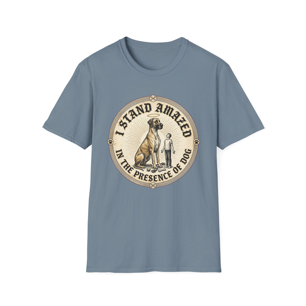 I Stand Amazed Great Dane T-Shirt flat lay in slate blue, featuring a circular vintage-style graphic of a towering Great Dane with a halo standing beside a tiny human figure, with text "I Stand Amazed in the Presence of Dog" around the badge.