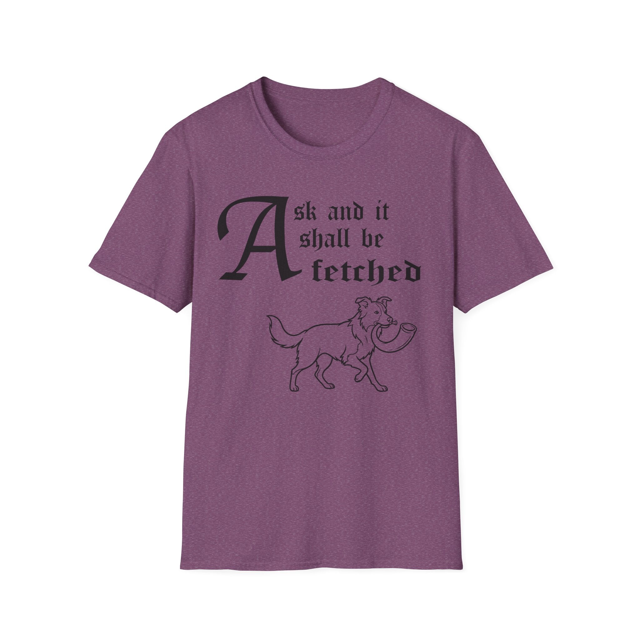 Ask and It Shall Be Fetched | Border Collie