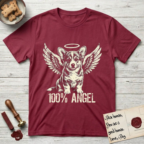 Canis Angelicus t-shirts