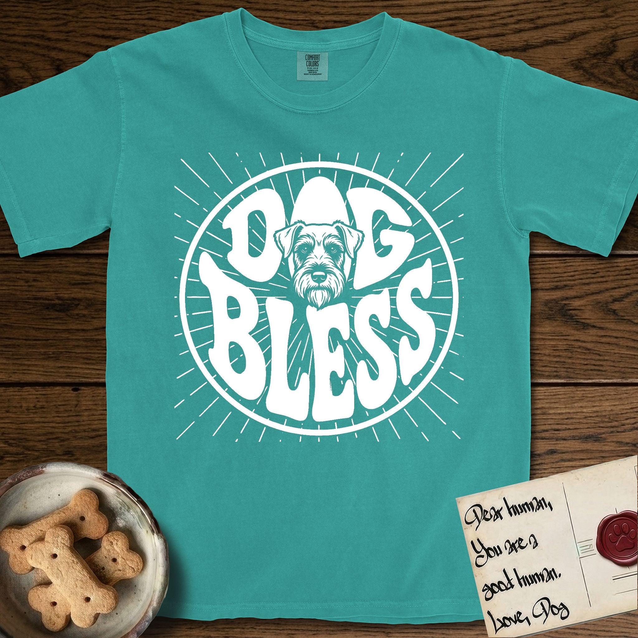 Dog Bless Schnauzer T-Shirt flat lay in Seafoam, featuring Retro bubble-letter badge reading DOG BLESS with a bearded Schnauzer face with bushy eyebrows framed in the letter O, hand-drawn sunburst rays radiating outward.