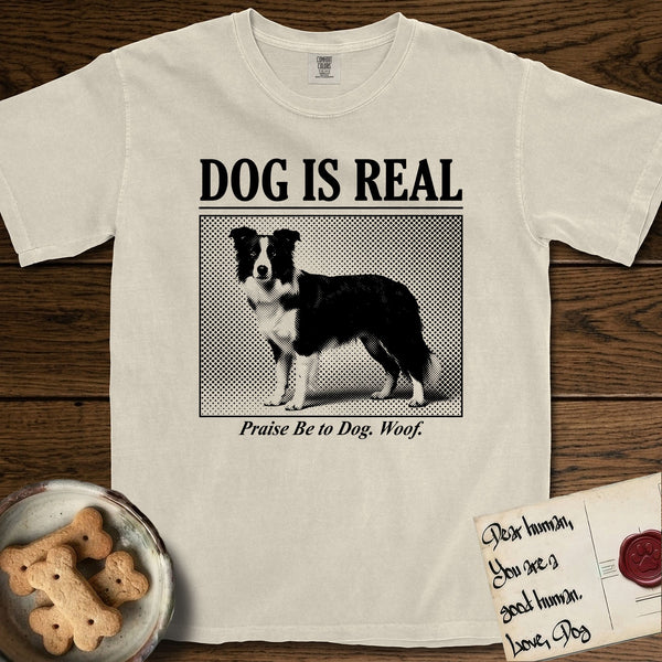 Border Collie t-shirts