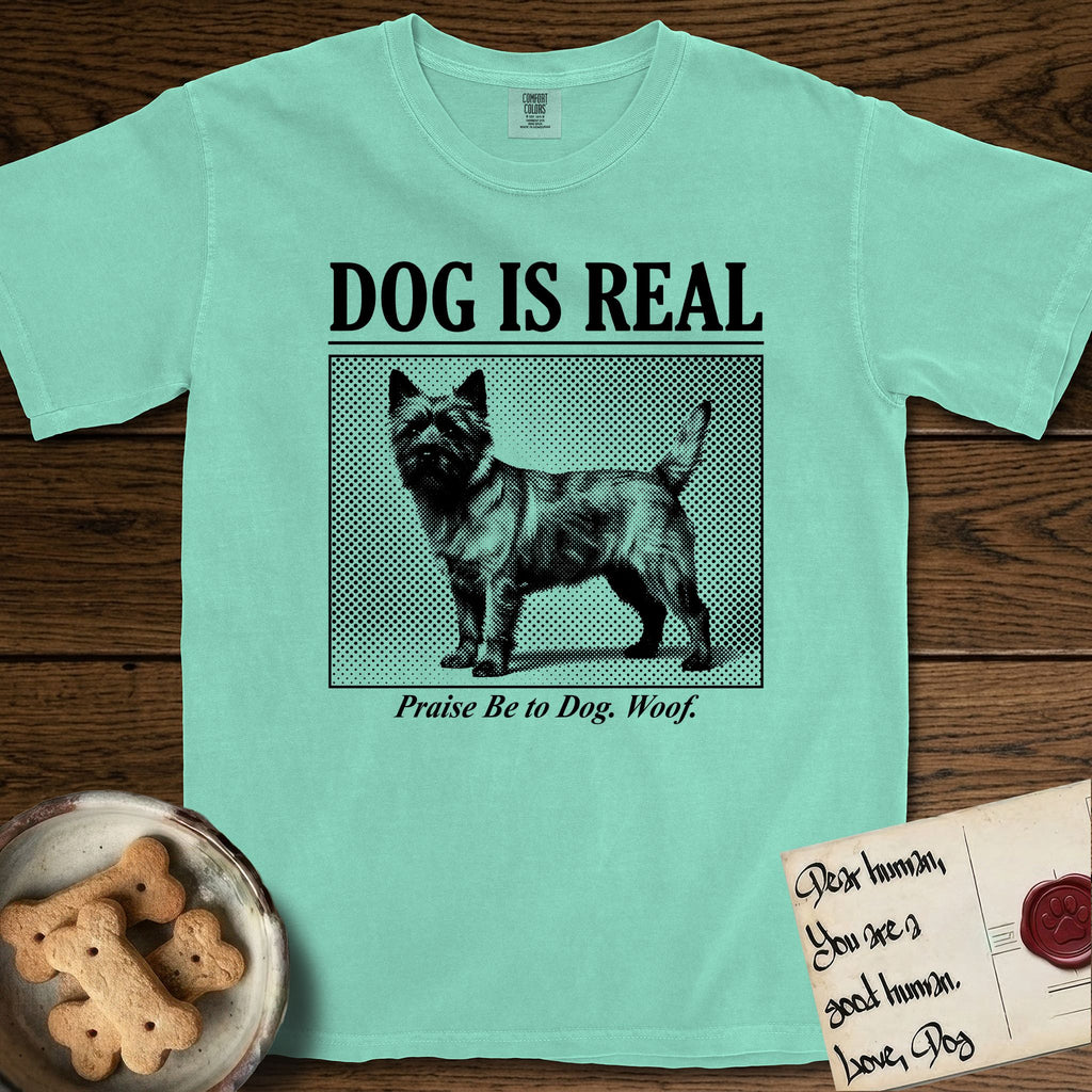Dog is Real Cairn Terrier T-Shirt flat lay in Island Reef, featuring Black halftone newspaper photo of a shaggy Cairn Terrier with upright ears and tail standing in profile with head turned to the camera, under the headline DOG IS REAL, with the caption Praise Be to Dog. Woof..