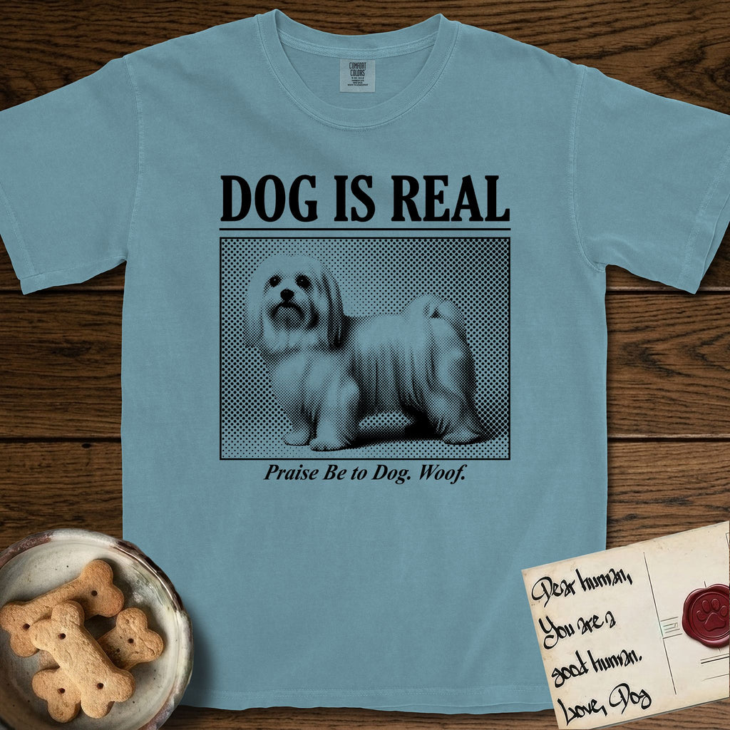 Dog is Real Maltese T-Shirt flat lay in Ice Blue, featuring Black halftone newspaper photo of a long-coated white Maltese standing in profile with head turned to the camera, under the headline DOG IS REAL, with the caption Praise Be to Dog. Woof..