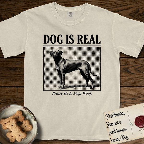 Rhodesian Ridgeback t-shirts