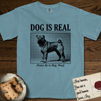 Dog is Real Shar-Pei T-Shirt flat lay in Ice Blue, featuring Black halftone newspaper photo of a wrinkled Shar-Pei with a curled tail standing in profile with head turned to the camera, under the headline DOG IS REAL, with the caption Praise Be to Dog. Woof..