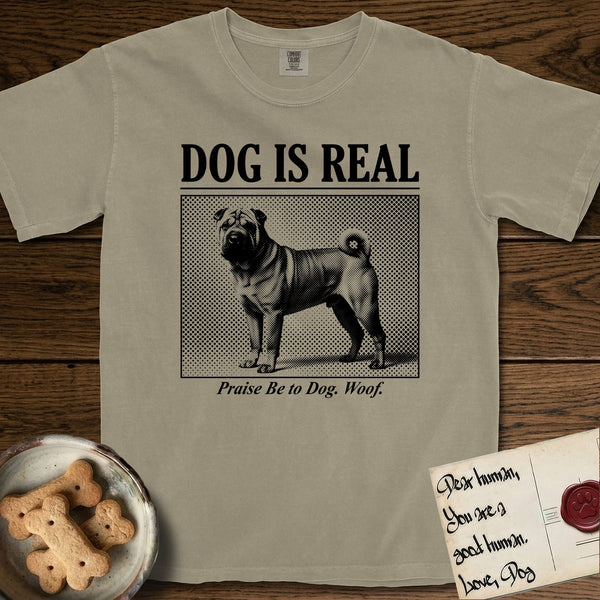 Shar-Pei t-shirts