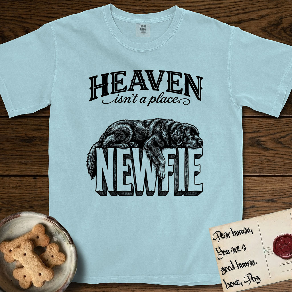 Heaven Isn't a Place Newfoundland T-Shirt flat lay in Chambray, featuring Black ink engraving illustration of a Newfoundland asleep on top of the giant carved block letters NEWFIE, under the lettering HEAVEN isn't a place..
