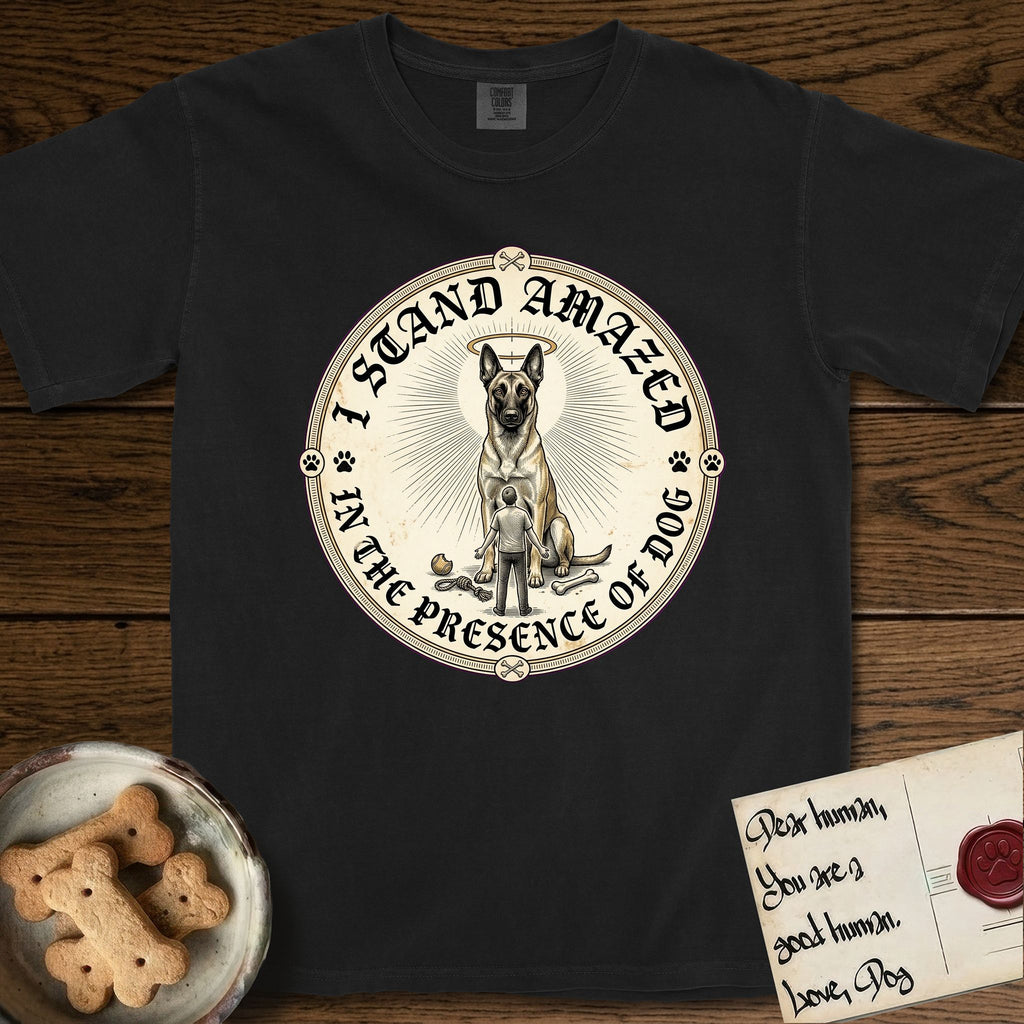 I Stand Amazed in the Presence Belgian Malinois T-Shirt flat lay in Black, featuring a vintage engraving medallion of a haloed Belgian Malinois with a small devoted human gazing up from below.