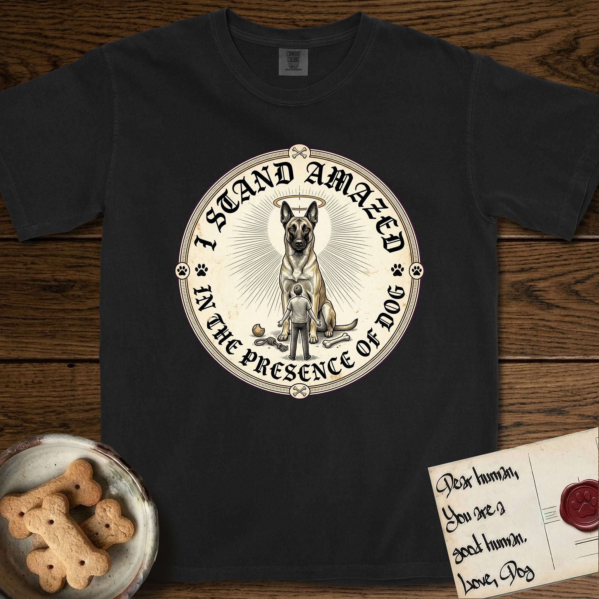 I Stand Amazed in the Presence Belgian Malinois T-Shirt flat lay in Black, featuring a vintage engraving medallion of a haloed Belgian Malinois with a small devoted human gazing up from below.