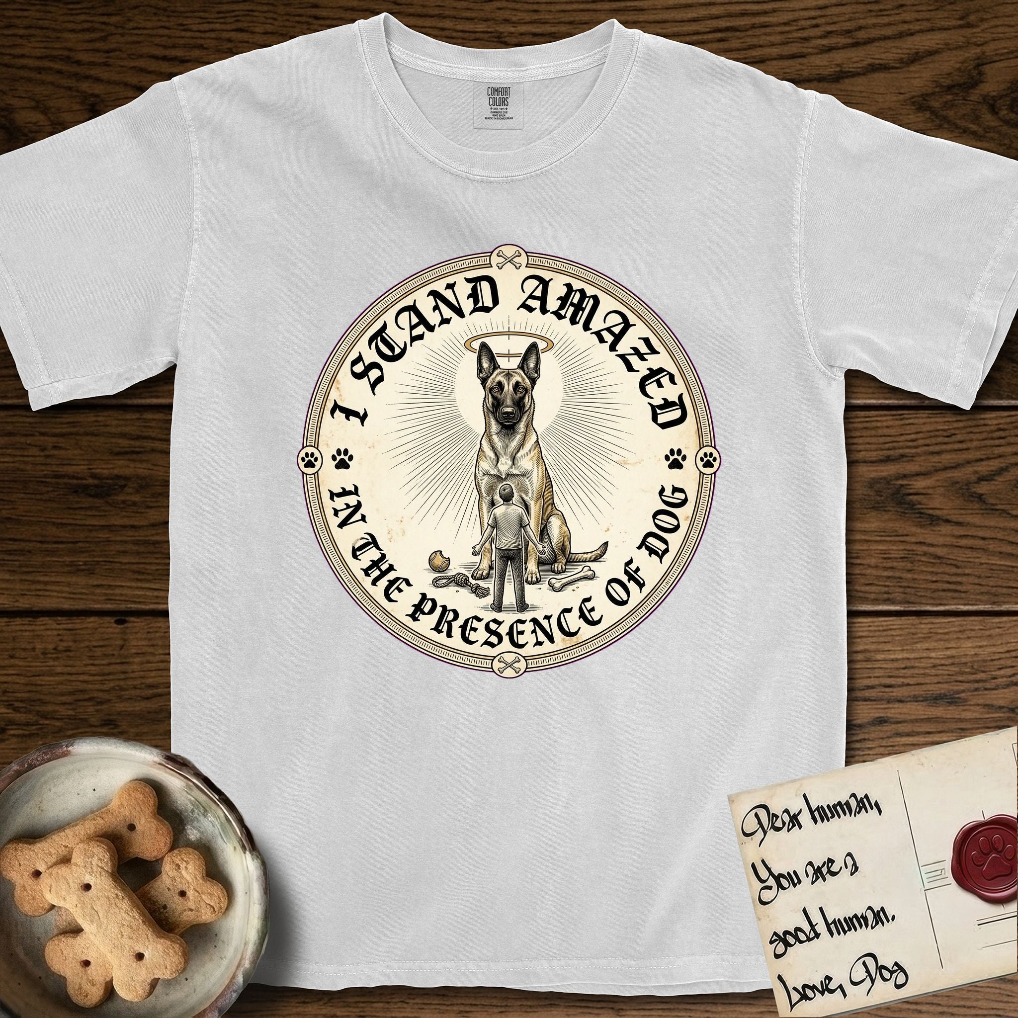 I Stand Amazed in the Presence Belgian Malinois T-Shirt flat lay in White, featuring a vintage engraving medallion of a haloed Belgian Malinois with a small devoted human gazing up from below.
