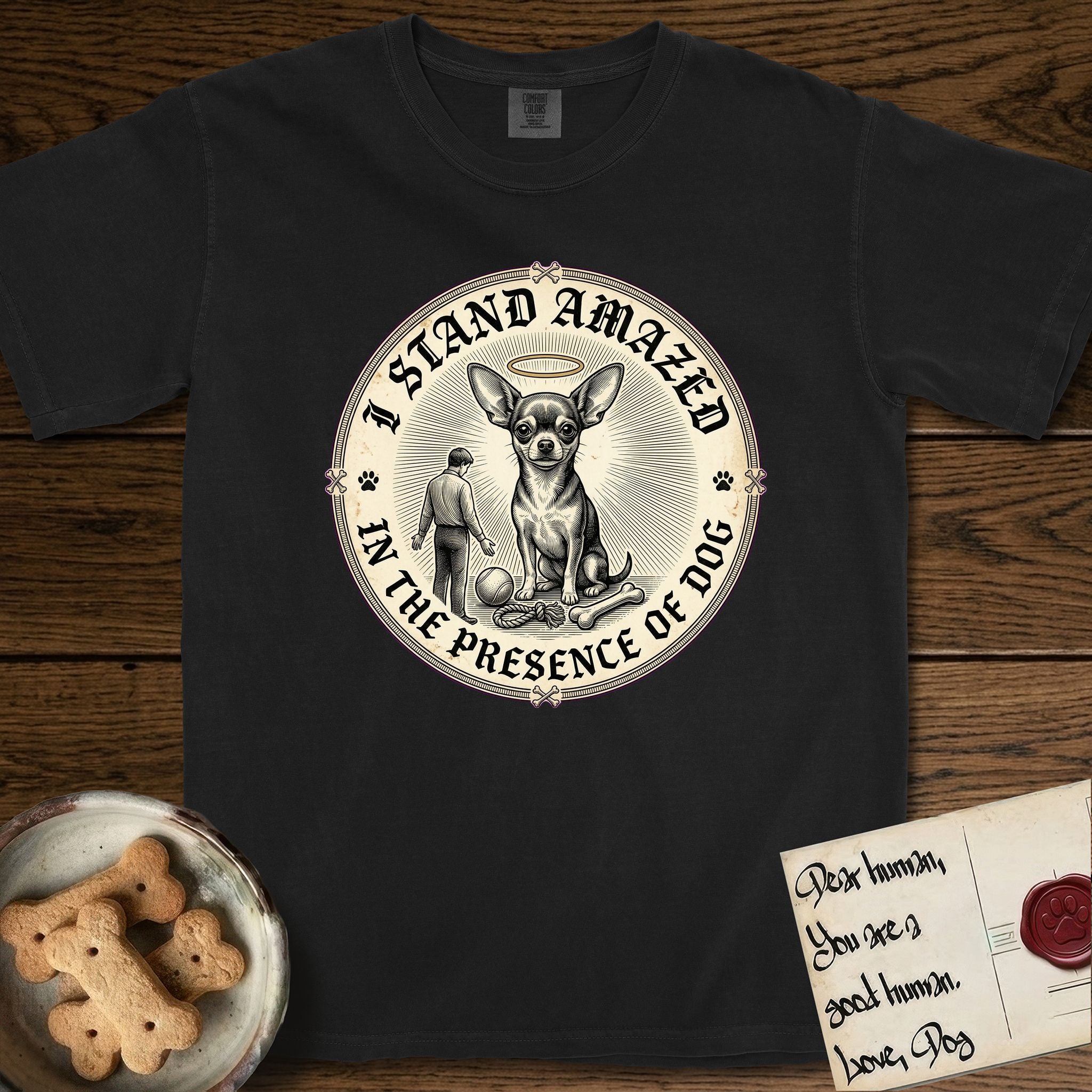 I Stand Amazed in the Presence Chihuahua T-Shirt flat lay in Black, featuring a vintage engraving medallion of a haloed Chihuahua with a small devoted human gazing up from below.