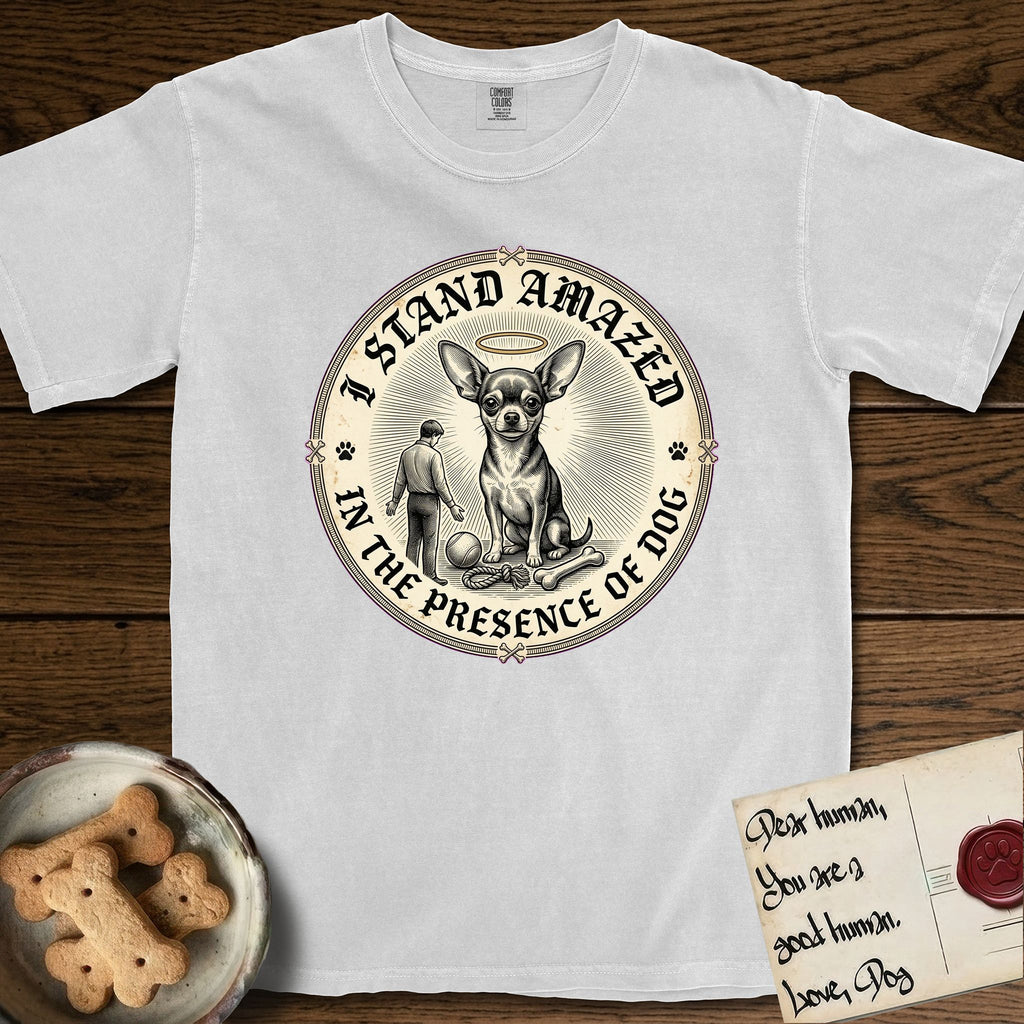 I Stand Amazed in the Presence Chihuahua T-Shirt flat lay in White, featuring a vintage engraving medallion of a haloed Chihuahua with a small devoted human gazing up from below.