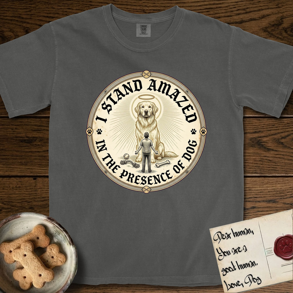 I Stand Amazed in the Presence Golden Retriever T-Shirt flat lay in Pepper, featuring a vintage engraving medallion of a haloed Golden Retriever with a small devoted human gazing up from below.