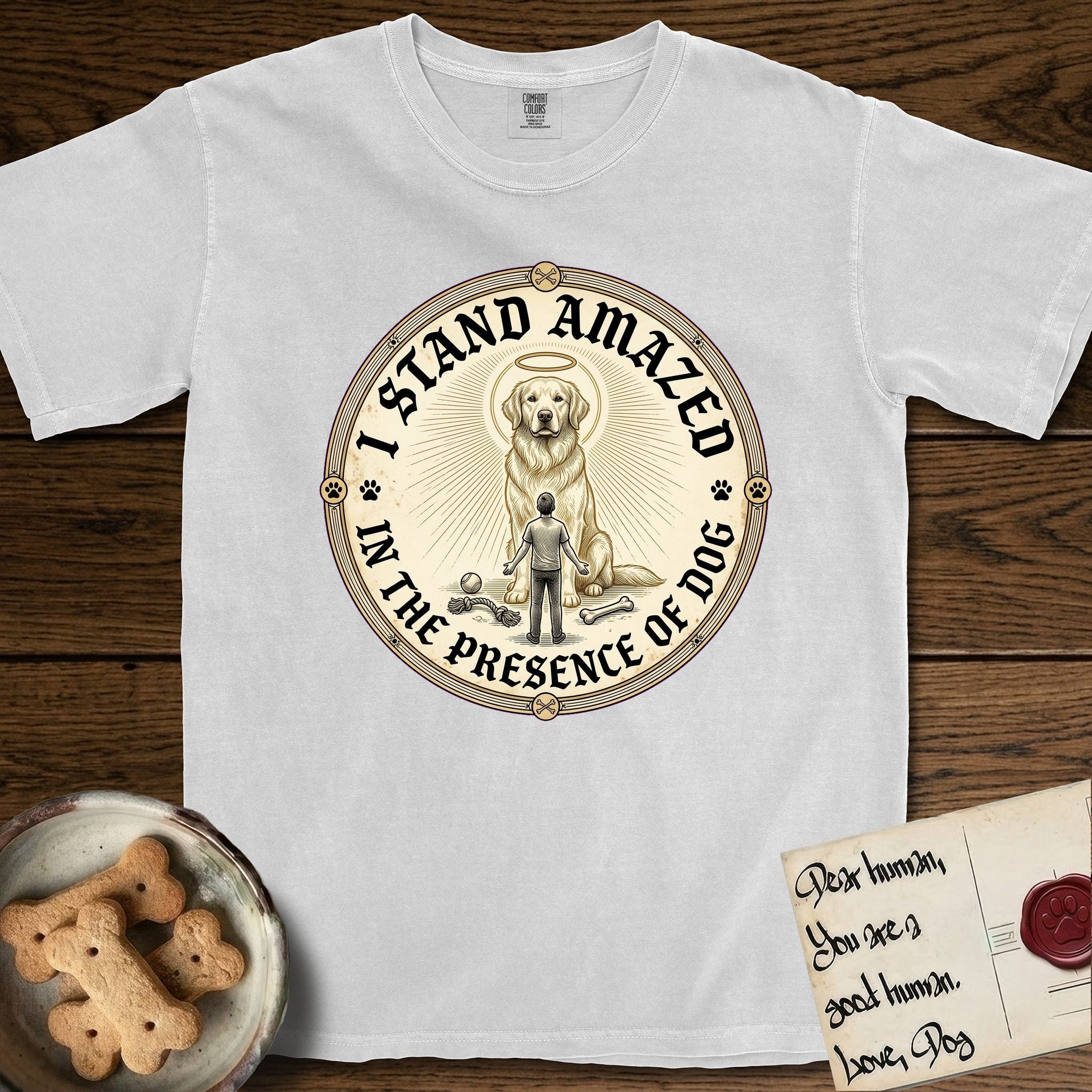 I Stand Amazed in the Presence Golden Retriever T-Shirt flat lay in White, featuring a vintage engraving medallion of a haloed Golden Retriever with a small devoted human gazing up from below.
