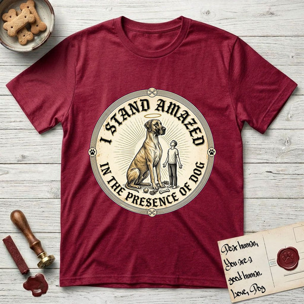 I Stand Amazed in the Presence t-shirts