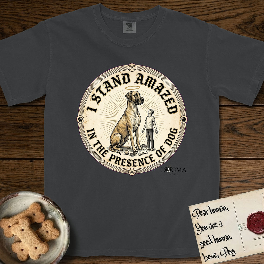 I Stand Amazed in the Presence Great Dane T-Shirt flat lay in Graphite, featuring a vintage engraving medallion of a haloed Great Dane with a small devoted human gazing up from below.