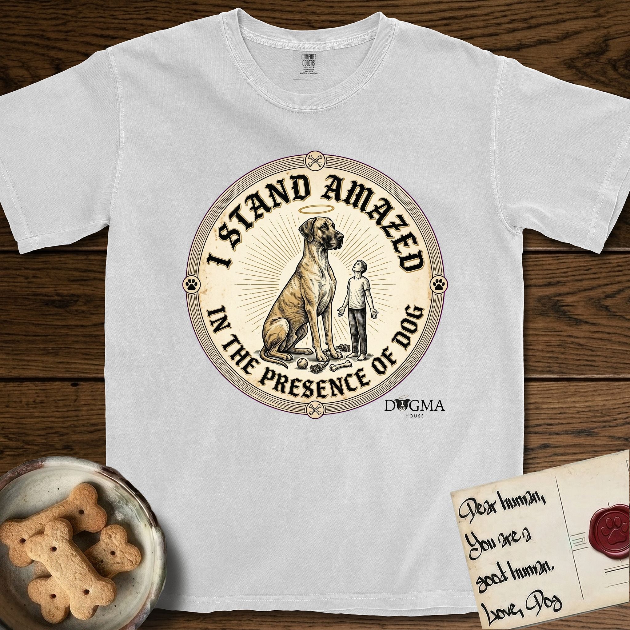 I Stand Amazed in the Presence Great Dane T-Shirt flat lay in White, featuring a vintage engraving medallion of a haloed Great Dane with a small devoted human gazing up from below.