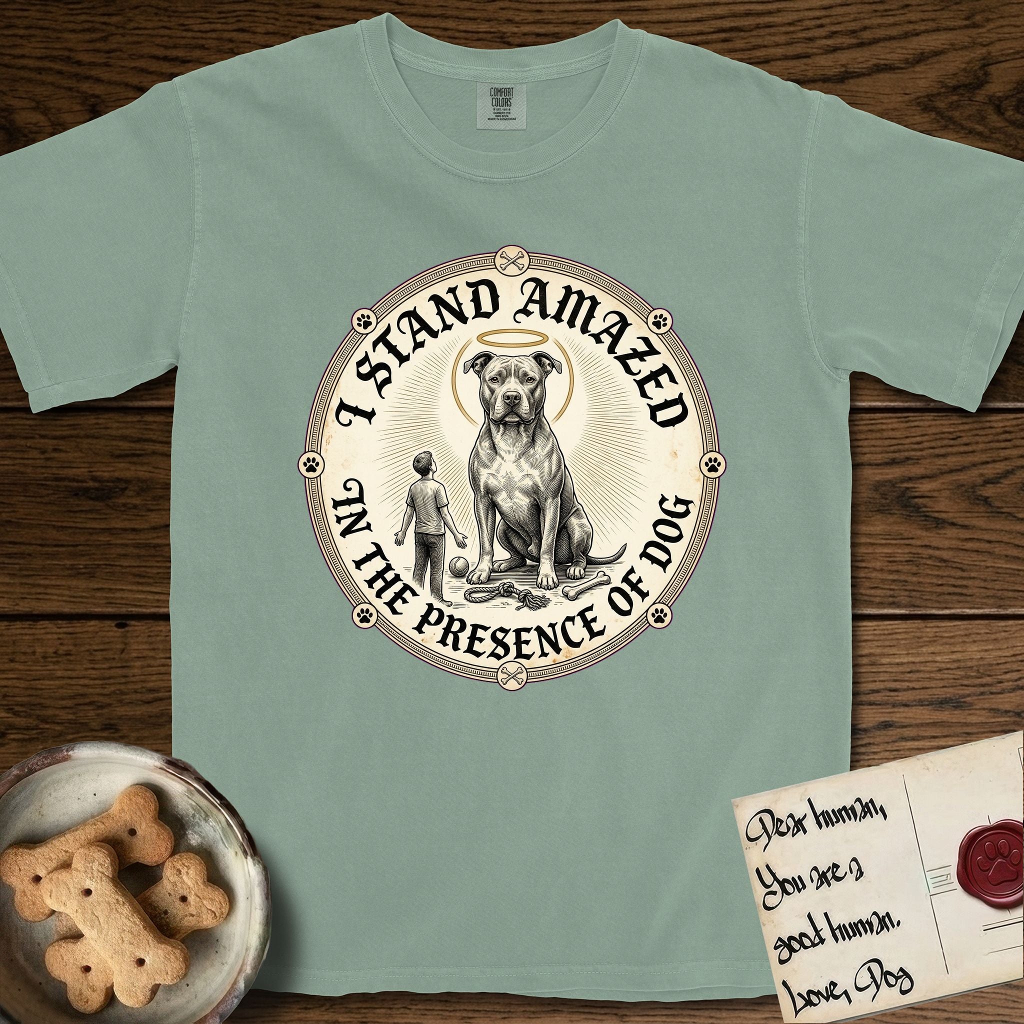 I Stand Amazed in the Presence Pitbull T-Shirt flat lay in Bay, featuring a vintage engraving medallion of a haloed Pitbull with a small devoted human gazing up from below.