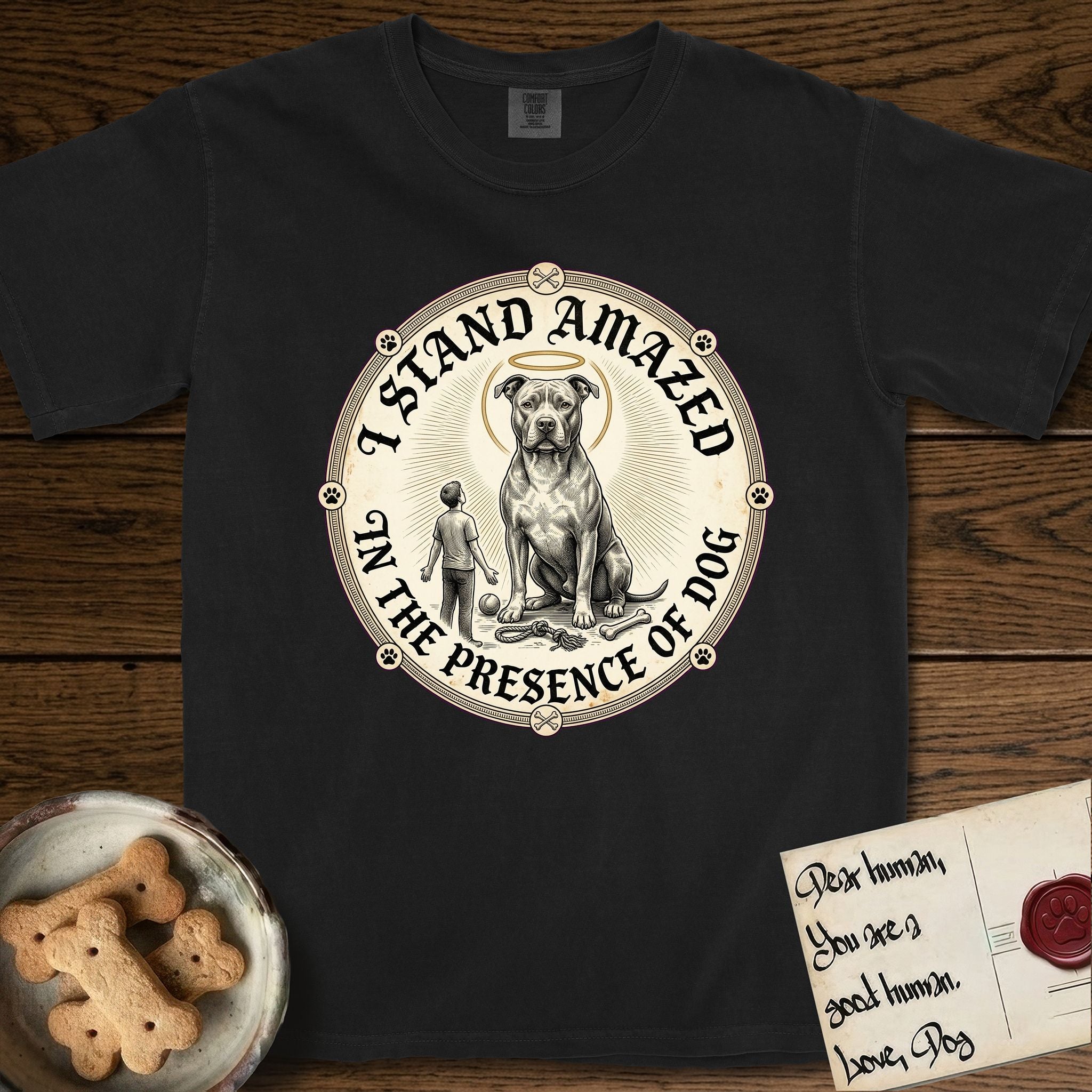 I Stand Amazed in the Presence Pitbull T-Shirt flat lay in Black, featuring a vintage engraving medallion of a haloed Pitbull with a small devoted human gazing up from below.