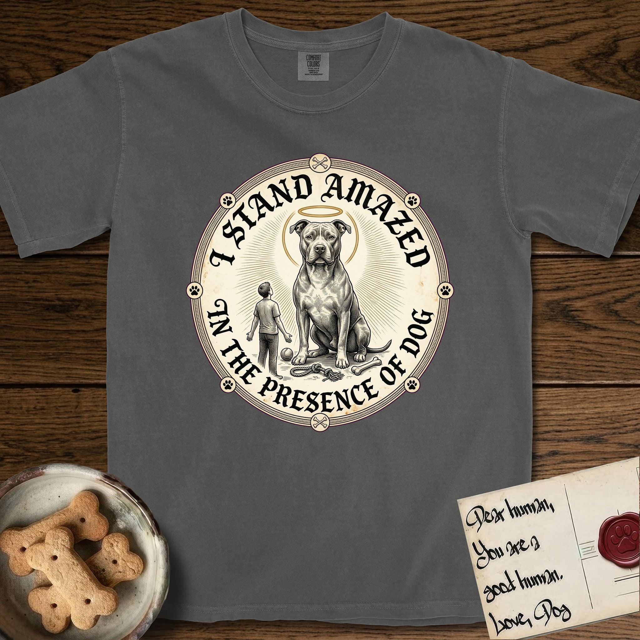 I Stand Amazed in the Presence Pitbull T-Shirt flat lay in Pepper, featuring a vintage engraving medallion of a haloed Pitbull with a small devoted human gazing up from below.