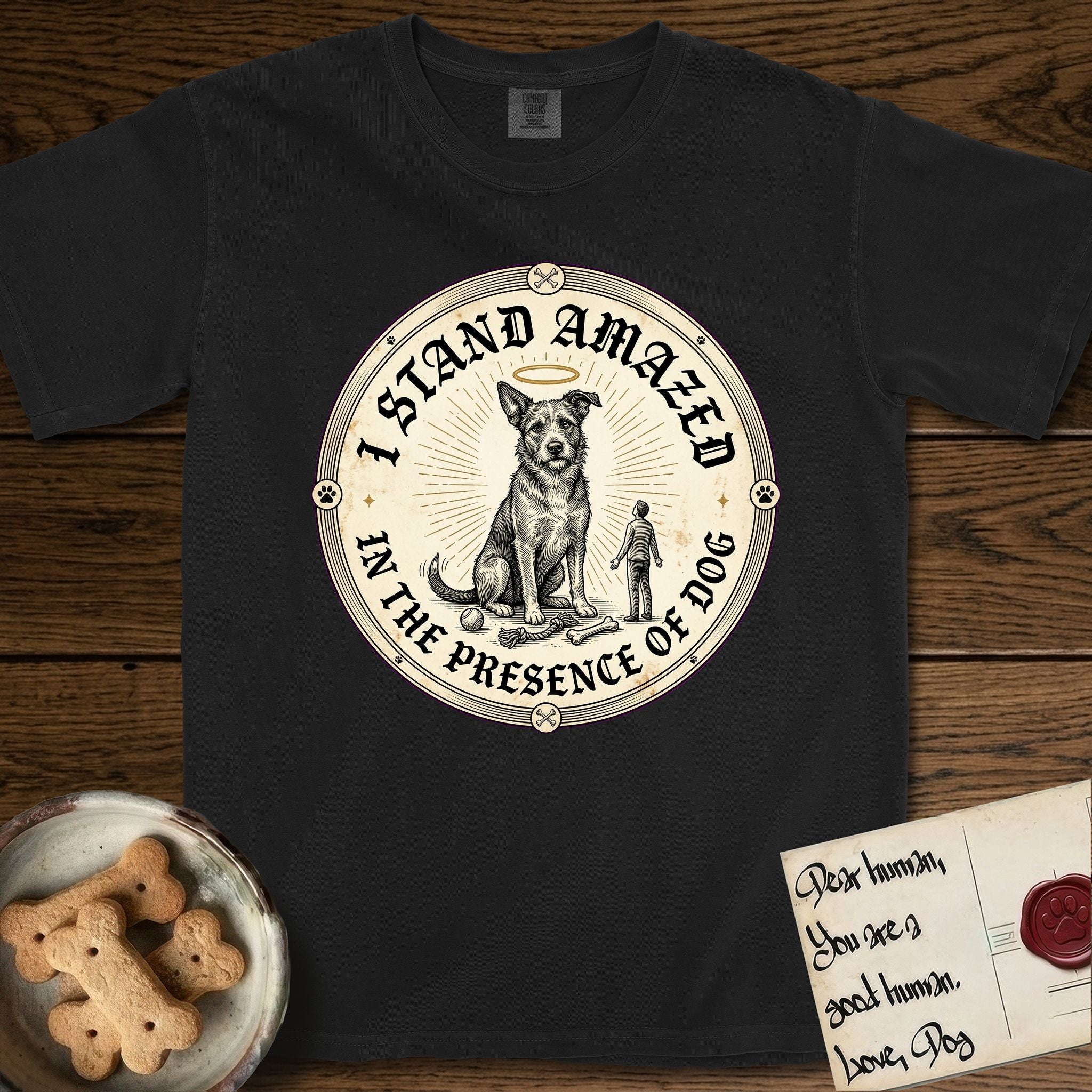 I Stand Amazed in the Presence Rescue Mutt T-Shirt flat lay in Black, featuring a vintage engraving medallion of a haloed rescue mutt with a small devoted human gazing up from below.