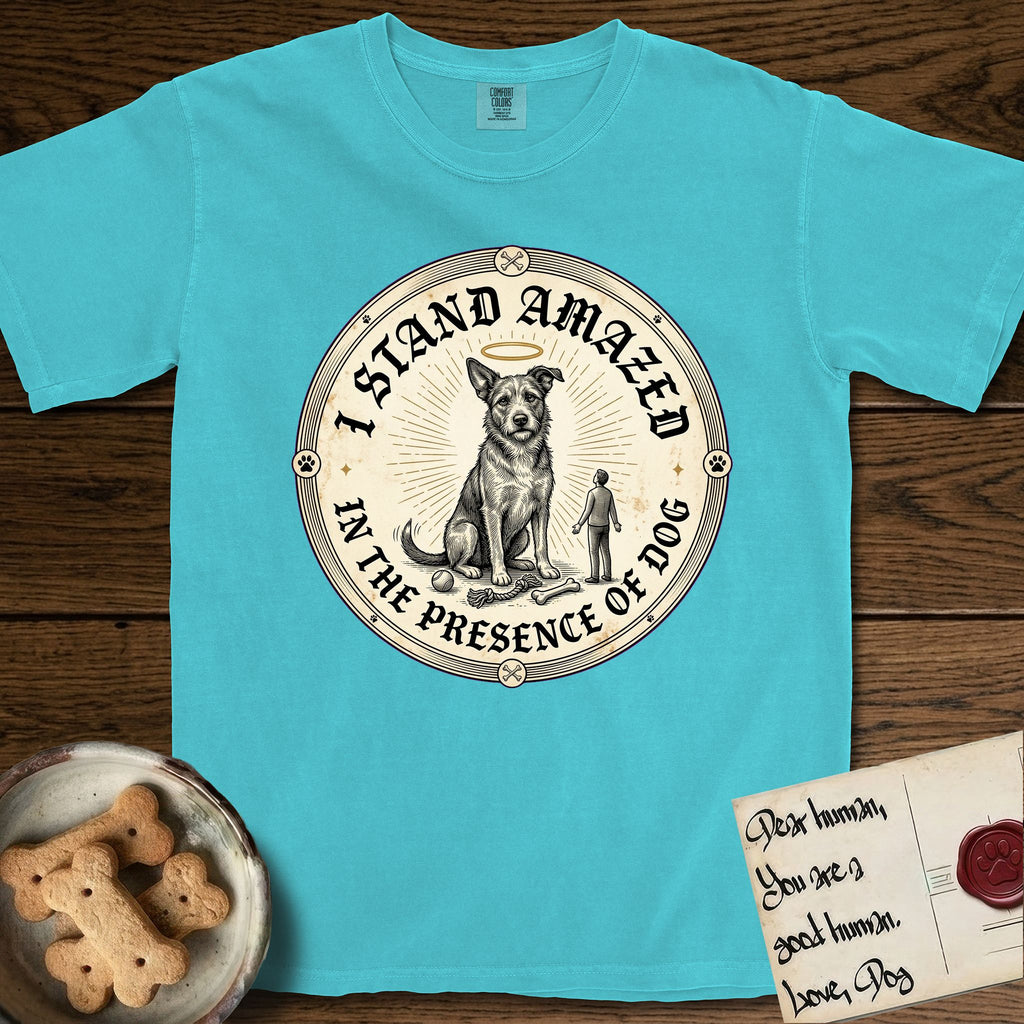 I Stand Amazed in the Presence Rescue Mutt T-Shirt flat lay in Lagoon Blue, featuring a vintage engraving medallion of a haloed rescue mutt with a small devoted human gazing up from below.