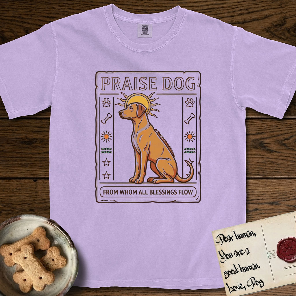 Praise Dog From Whom All Blessings Flow Rhodesian Ridgeback T-Shirt flat lay in Orchid, featuring an ancient Egyptian carved-relief emblem of a Rhodesian Ridgeback in side profile with a visible spine ridge, a rayed golden sun halo, hieroglyph glyph columns, and a ragged stone border with "Praise Dog From Whom All Blessings Flow" lettering.