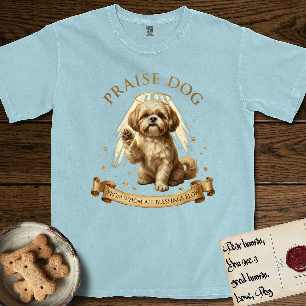Praise Dog From Whom All Blessings Flow Shih Tzu T-Shirt flat lay in Chambray, featuring an old-master devotional oil painting of a Shih Tzu seated with one paw raised in blessing, a floating gold halo and streaming light, a shower of small gold blessings, and gilt "Praise Dog From Whom All Blessings Flow" lettering on a ribbon scroll.