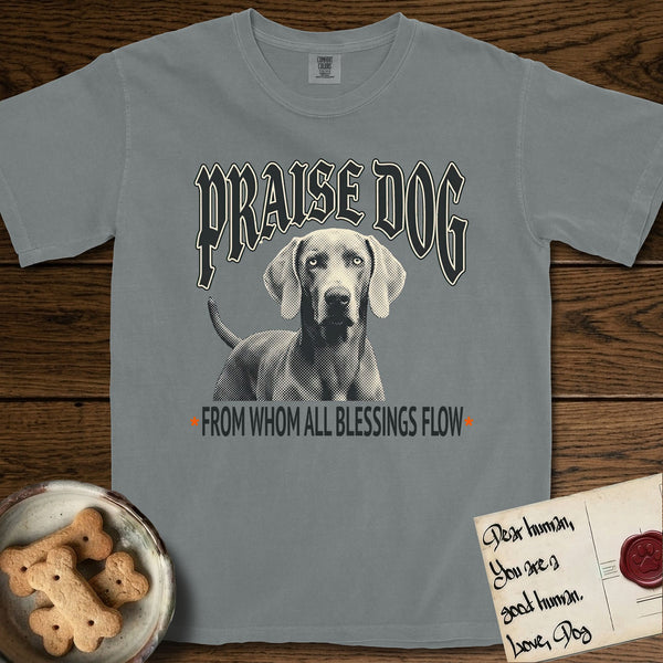Weimaraner t-shirts