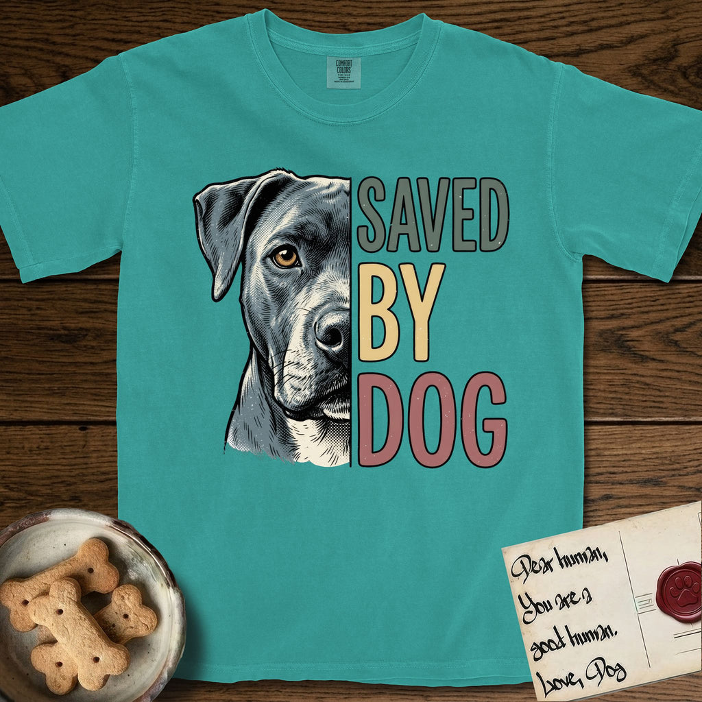 Saved by Dog Pitbull T-Shirt flat lay in Seafoam, featuring half a blue-grey Pitbull's face in distressed vintage screen print, one warm amber eye, cropped down the centerline beside bold stacked block lettering.