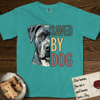 Saved by Dog Pitbull T-Shirt flat lay in Seafoam, featuring half a blue-grey Pitbull's face in distressed vintage screen print, one warm amber eye, cropped down the centerline beside bold stacked block lettering.
