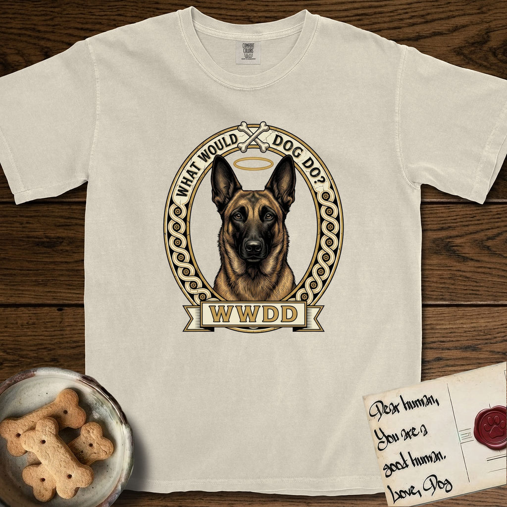What Would Dog Do Belgian Malinois T-Shirt flat lay in Ivory, featuring a vintage gold portrait medallion of a haloed Belgian Malinois in an ornamental rosette-scroll border with the question What Would Dog Do.
