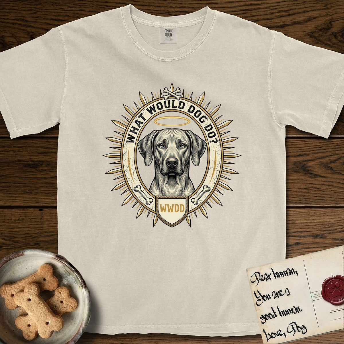 What Would Dog Do Rhodesian Ridgeback T-Shirt flat lay in Ivory, featuring a vintage gold portrait medallion of a haloed Rhodesian Ridgeback ringed by radiating sunburst spikes with the question What Would Dog Do.